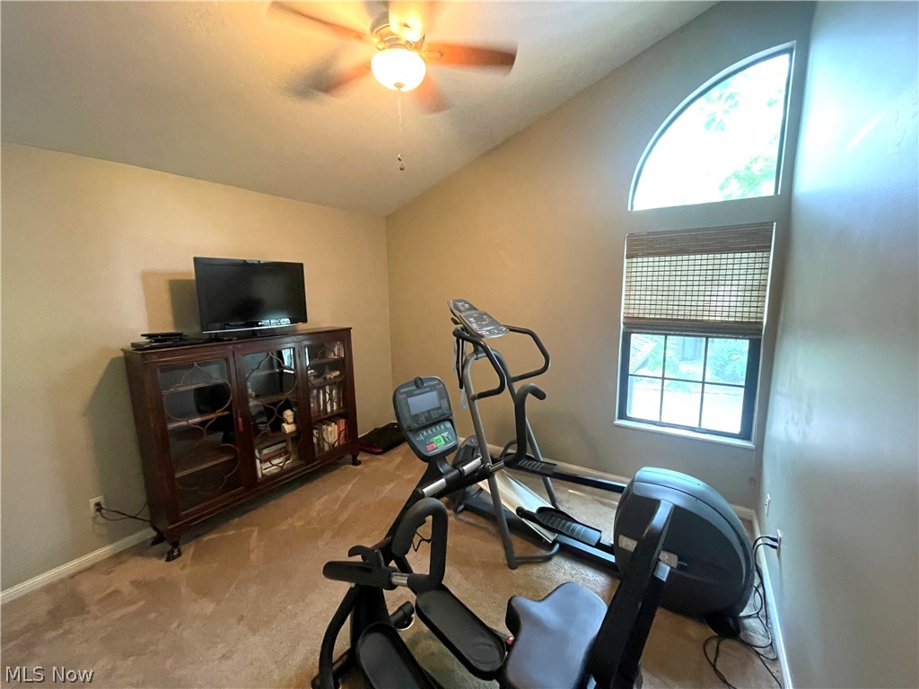 1153 Red Tail Hawk Court Youngstown OH 44512