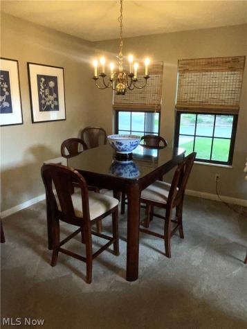 1153 Red Tail Hawk Court Youngstown OH 44512