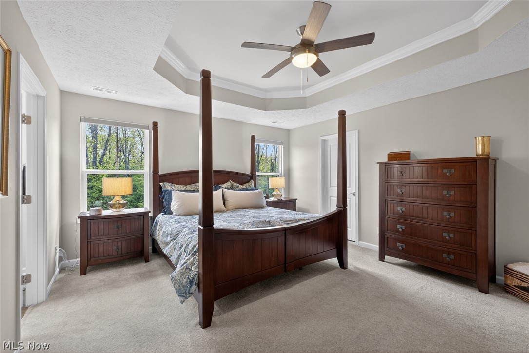 7310 Hillshire Drive Painesville OH 44077