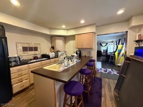 1464 E 250th Street Euclid OH 44117