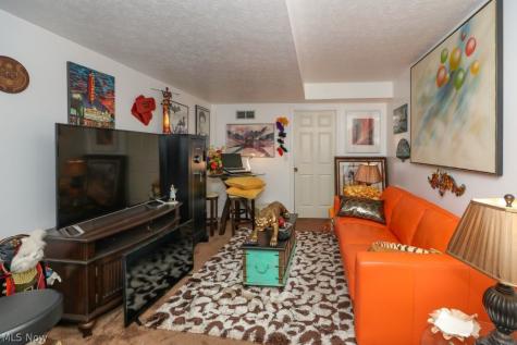 908 Bristol Lane Streetsboro OH 44241