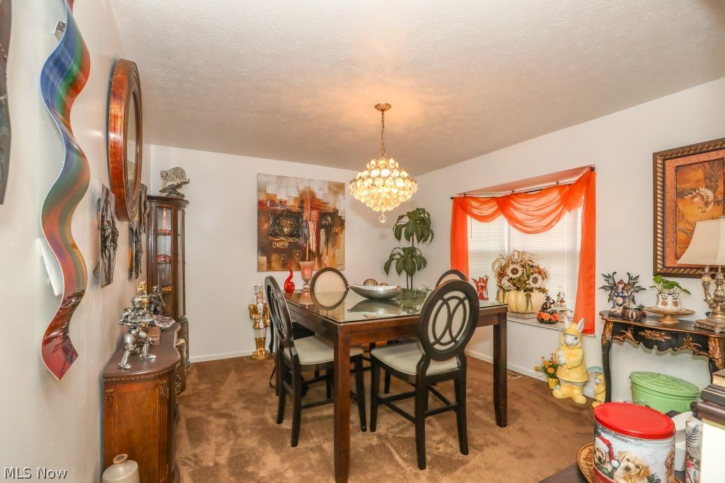 908 Bristol Lane Streetsboro OH 44241