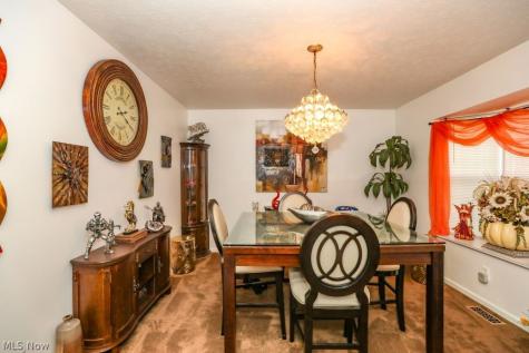 908 Bristol Lane Streetsboro OH 44241
