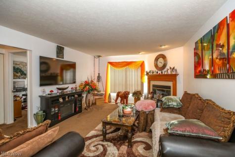 908 Bristol Lane Streetsboro OH 44241
