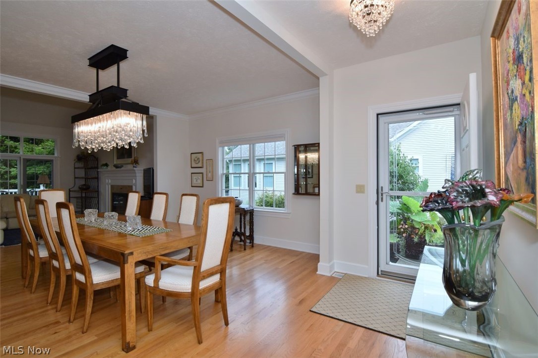 8205 Knolls Way Chagrin Falls OH 44023
