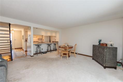 1190 Brookline Place Willoughby OH 44094