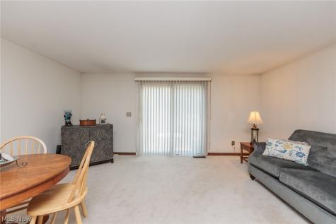 1190 Brookline Place Willoughby OH 44094