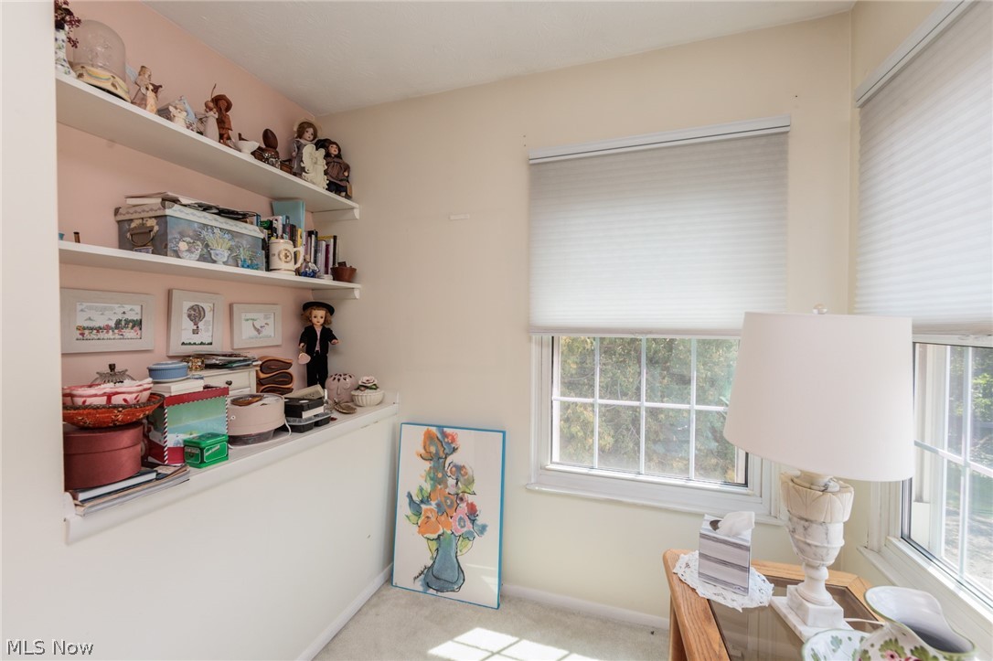 1190 Brookline Place Willoughby OH 44094