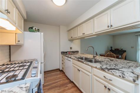 1190 Brookline Place Willoughby OH 44094
