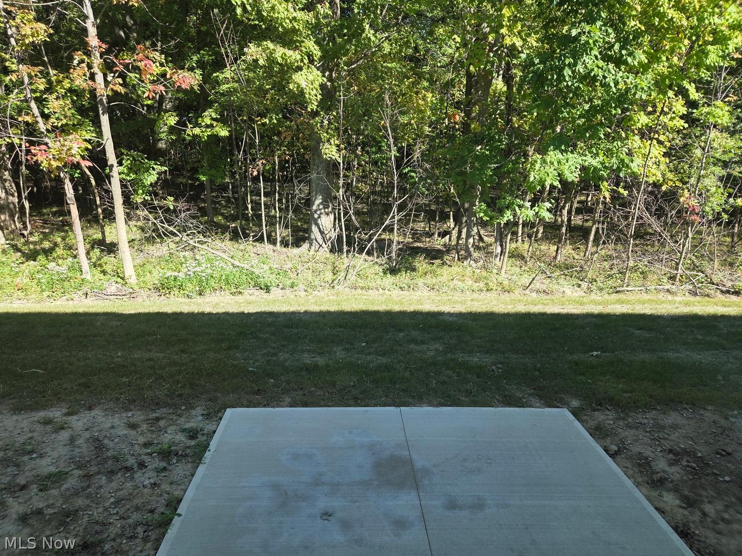 3743 Freedom Place Lorain OH 44053