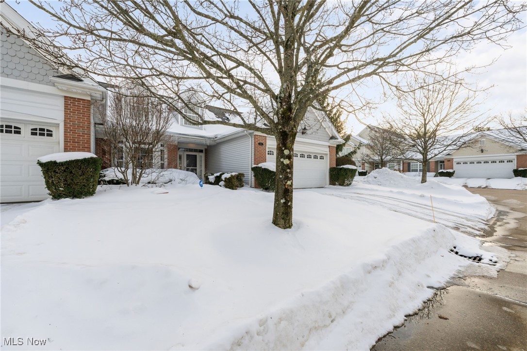 220 Rosebury Court Mayfield Heights OH 44124