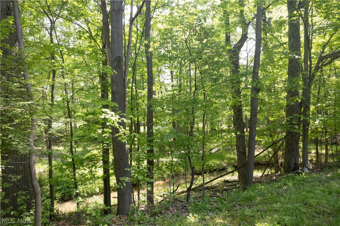 19533 Idlewood Trail Strongsville OH 44149