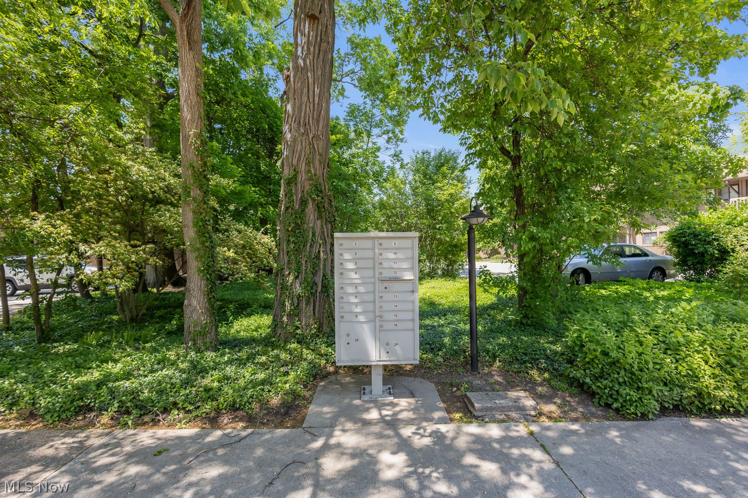 2479 Euclid Heights Boulevard Cleveland Heights OH 44106