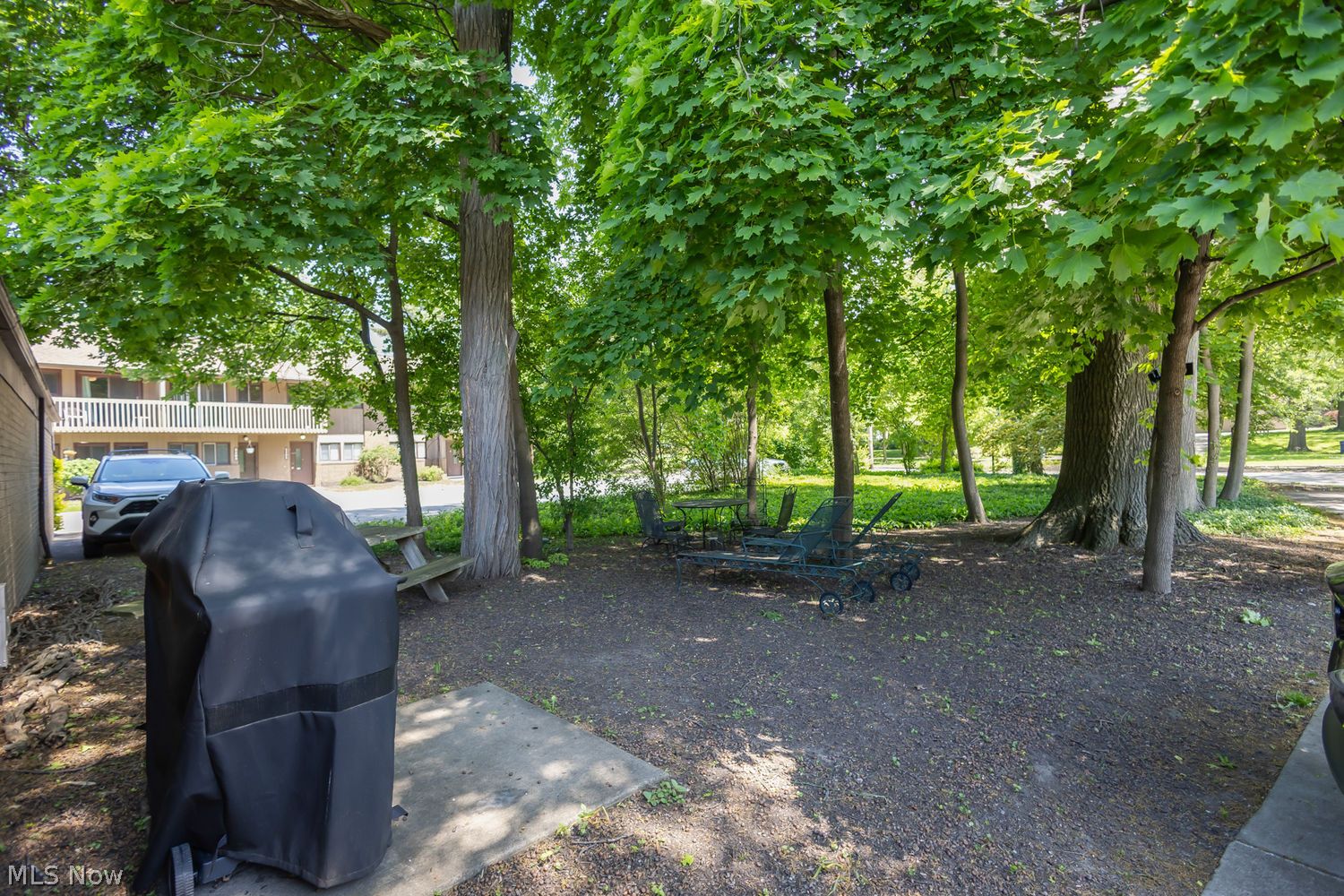 2479 Euclid Heights Boulevard Cleveland Heights OH 44106