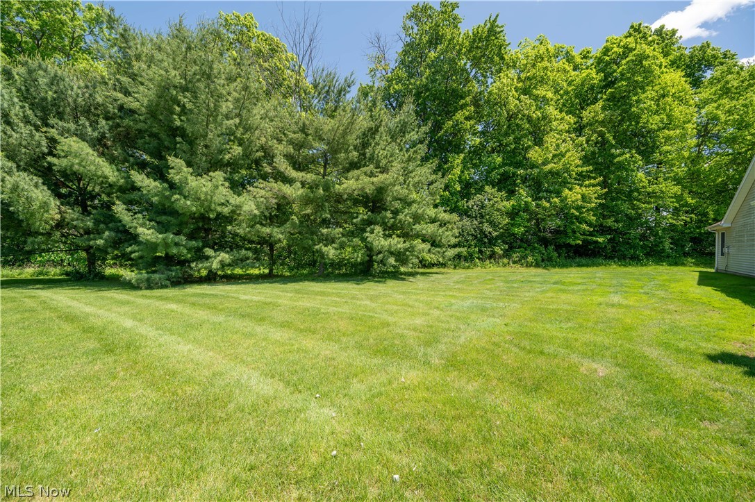 535 Wilcox Road Youngstown OH 44515