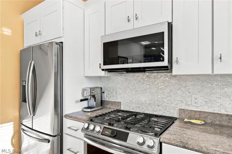 163 Larimar Drive Willowick OH 44095