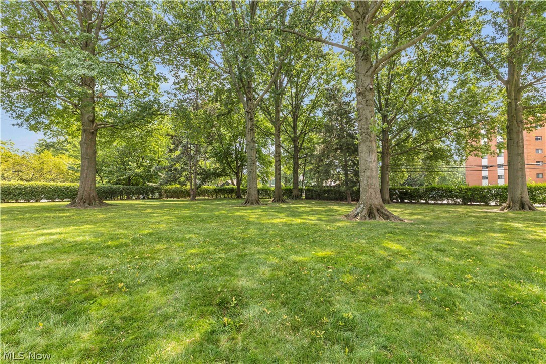 3167 Linden Road Rocky River OH 44116
