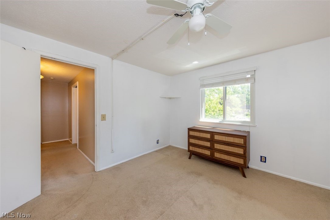 1651 Mentor Avenue Painesville OH 44077