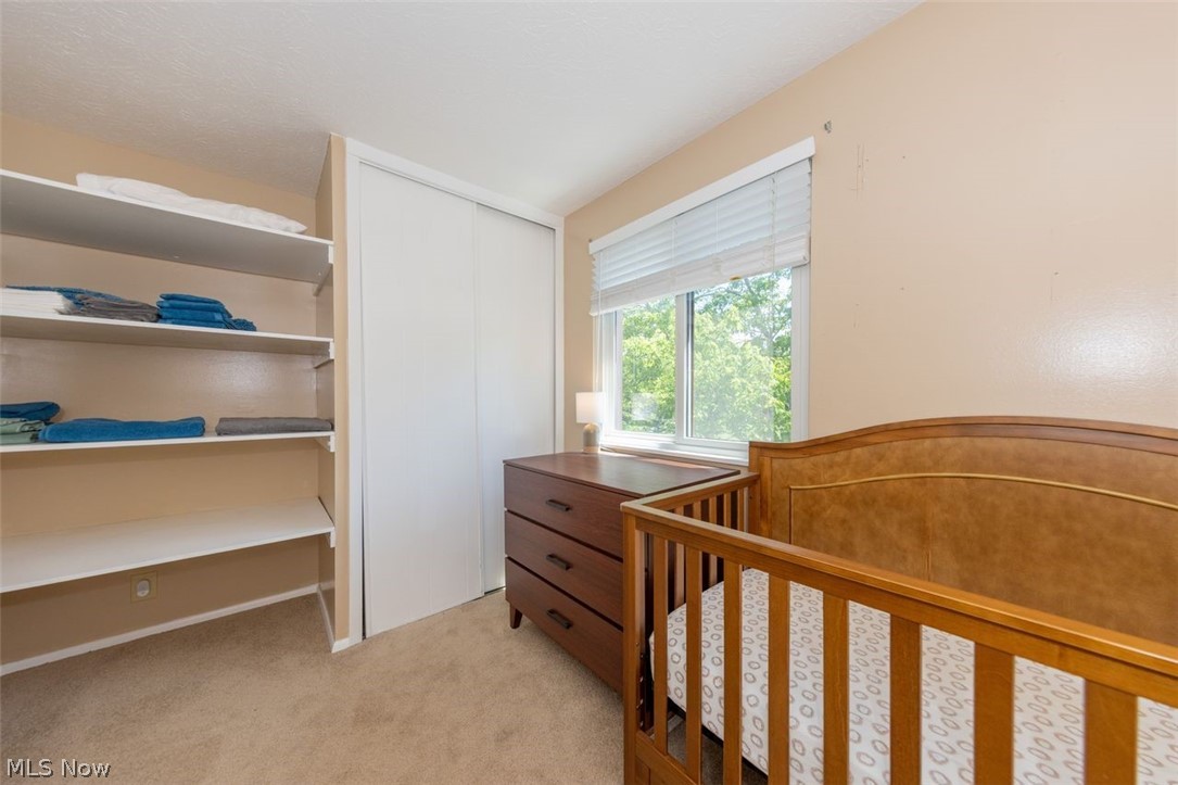 1651 Mentor Avenue Painesville OH 44077