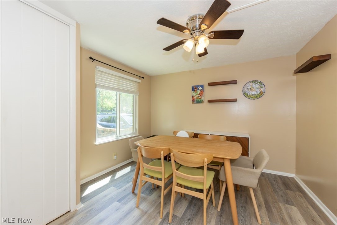 1651 Mentor Avenue Painesville OH 44077
