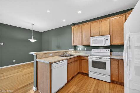 8334 Beaumont Drive Mentor OH 44060