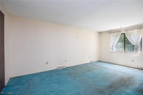 11491 Harbour Light Drive North Royalton OH 44133