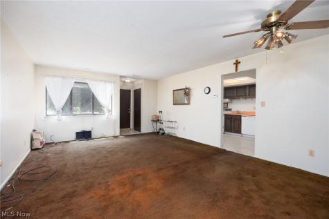 11491 Harbour Light Drive North Royalton OH 44133