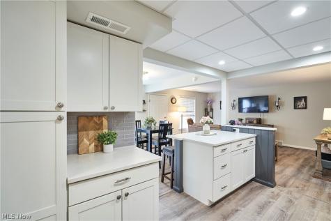 135 Monmouth Court Mentor OH 44060