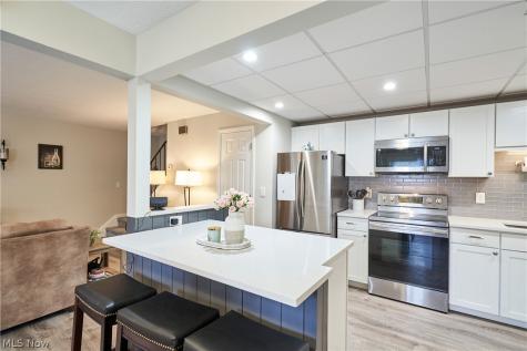 135 Monmouth Court Mentor OH 44060