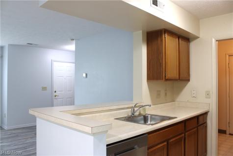 7260 Somerset Court Northfield OH 44067