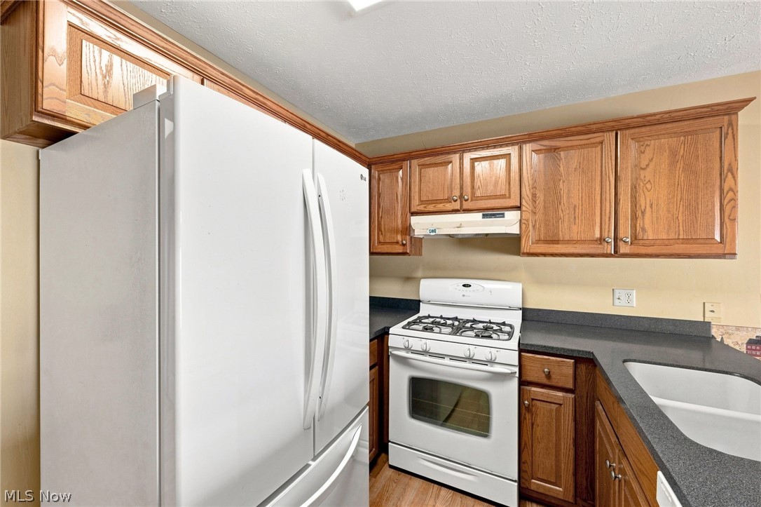 6724 Connecticut Colony Circle Mentor OH 44060