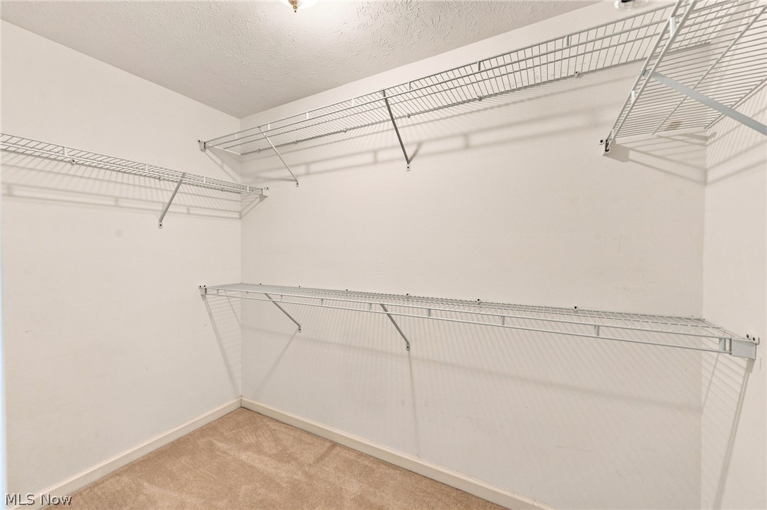 6797 Rolling Meadow Drive Cleveland OH 44134