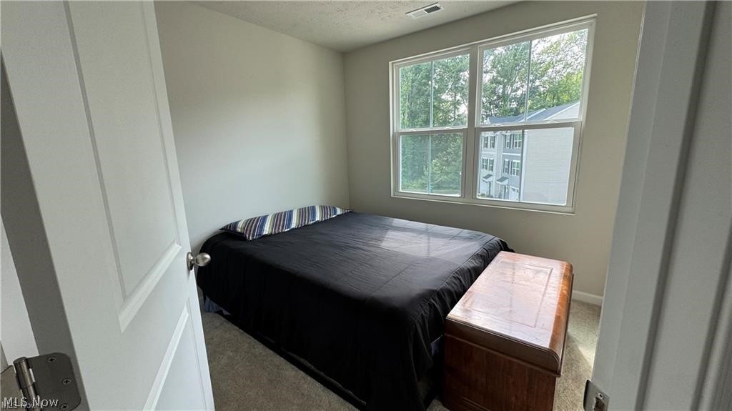 196 Raintree Lane Painesville OH 44077