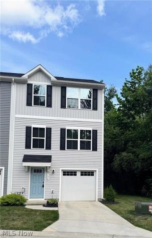 196 Raintree Lane Painesville OH 44077