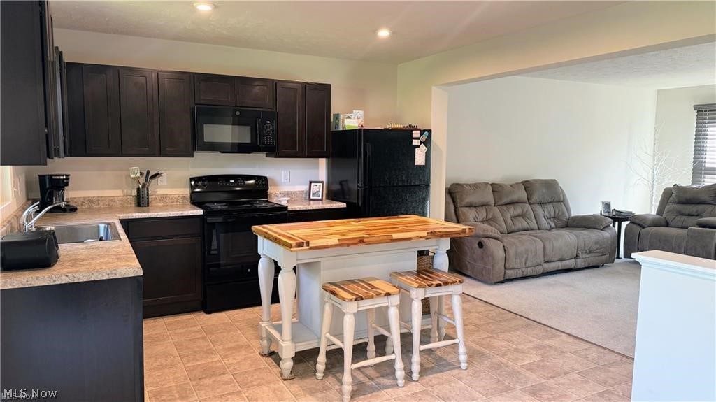 196 Raintree Lane Painesville OH 44077