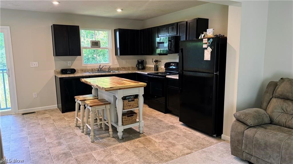 196 Raintree Lane Painesville OH 44077
