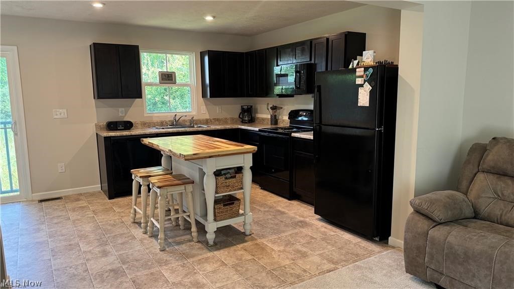196 Raintree Lane Painesville OH 44077