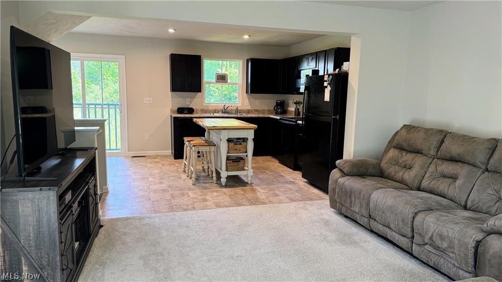 196 Raintree Lane Painesville OH 44077