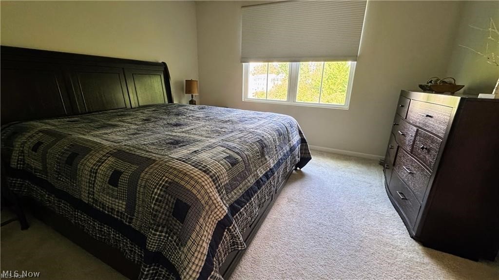 196 Raintree Lane Painesville OH 44077