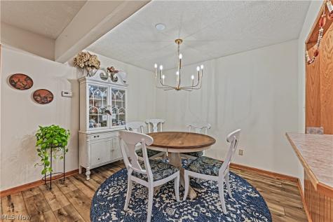 1284 Canyon View Road Sagamore Hills OH 44067