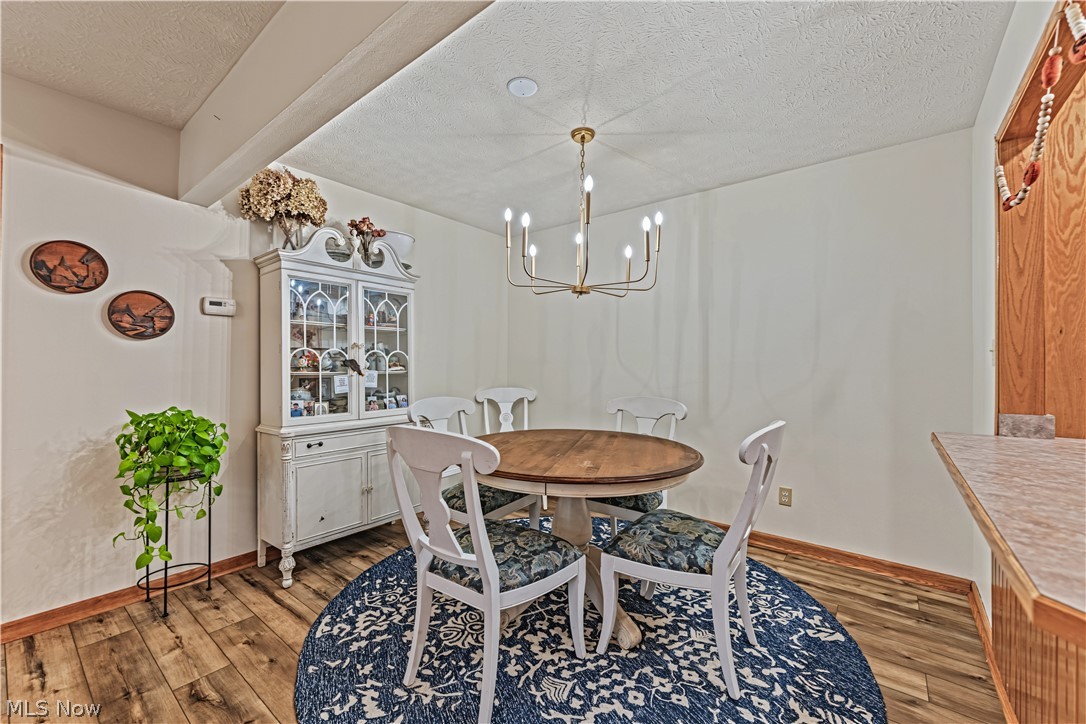 1284 Canyon View Road Sagamore Hills OH 44067