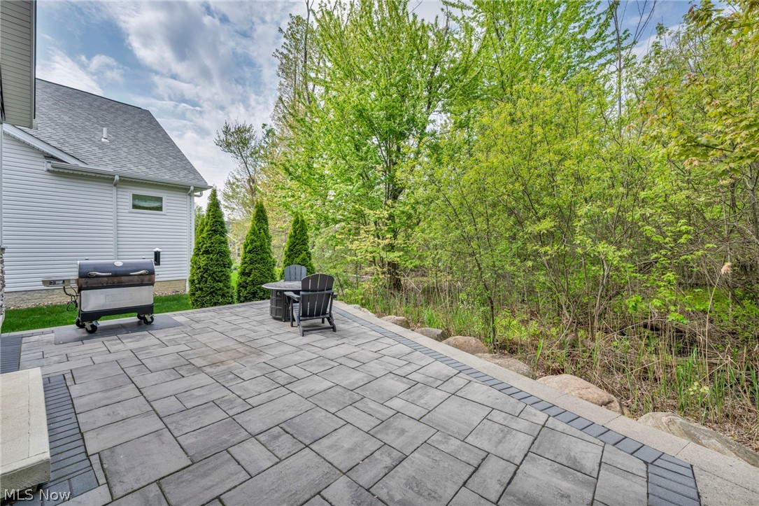 11253 Hygrove Drive Painesville OH 44077