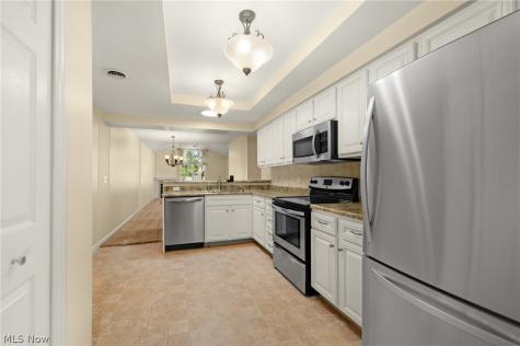 8222 Cyrus Lane Northfield OH 44067