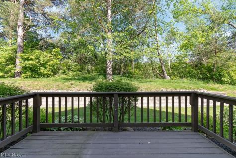 363 Casselberry Place Twinsburg OH 44087