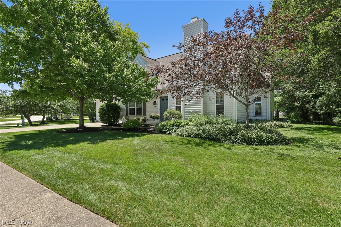 10477 White Ash Trail Twinsburg OH 44087