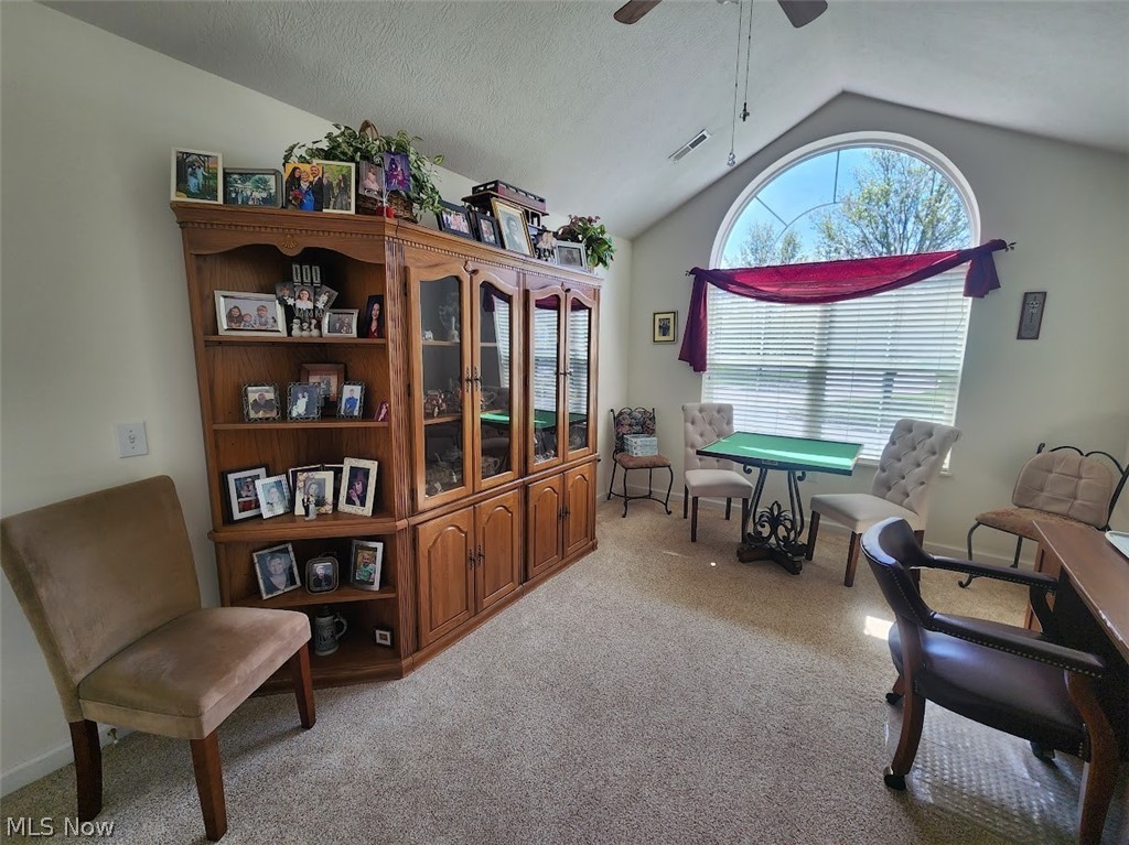 5227 Redford Drive Brunswick OH 44212