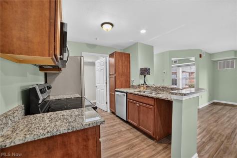 23002 Chandlers Lane Olmsted Falls OH 44138