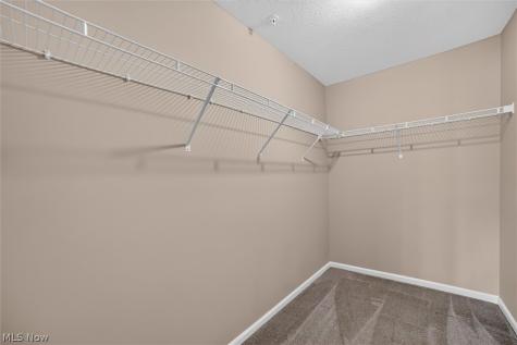 23002 Chandlers Lane Olmsted Falls OH 44138