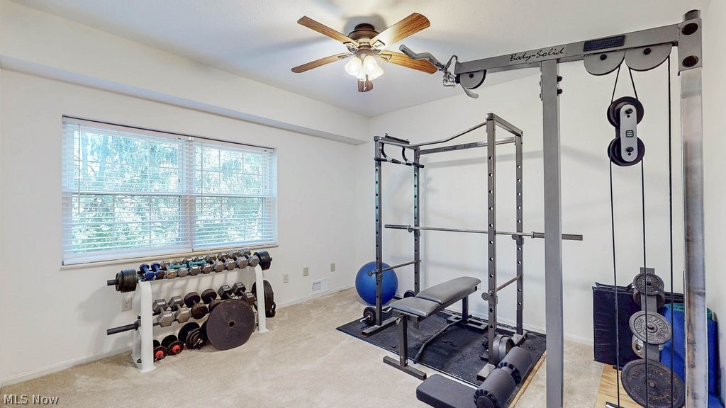 6885 Chaffee Court Brecksville OH 44141