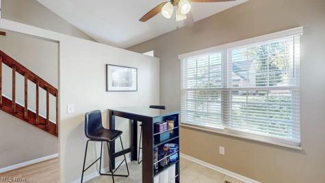 6885 Chaffee Court Brecksville OH 44141